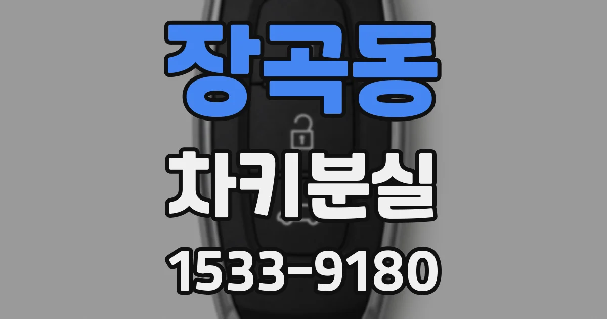 장곡동 차키분실