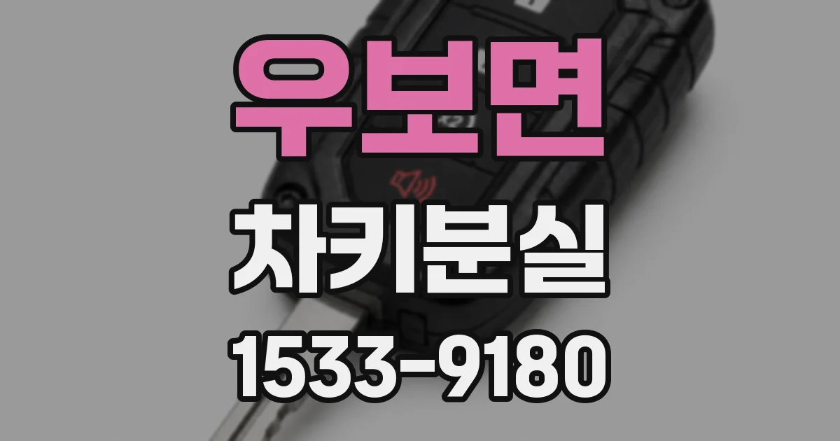 우보면 차키분실