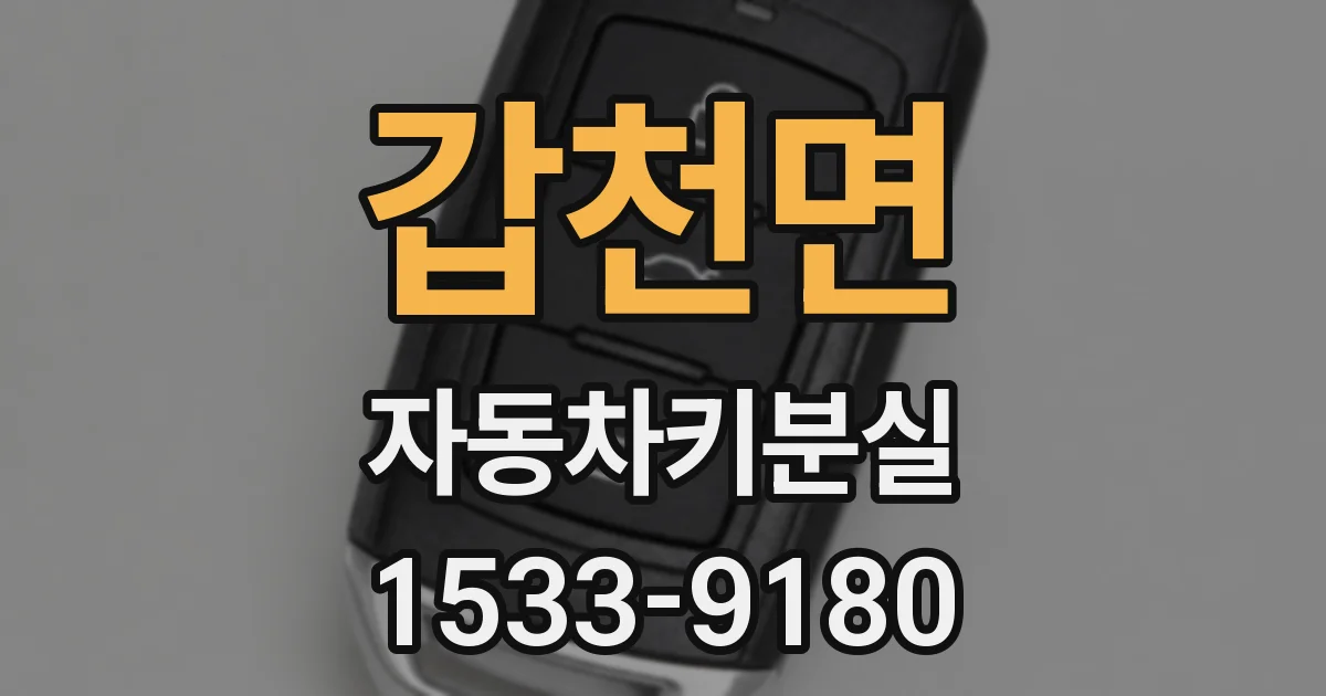 갑천면 자동차키분실