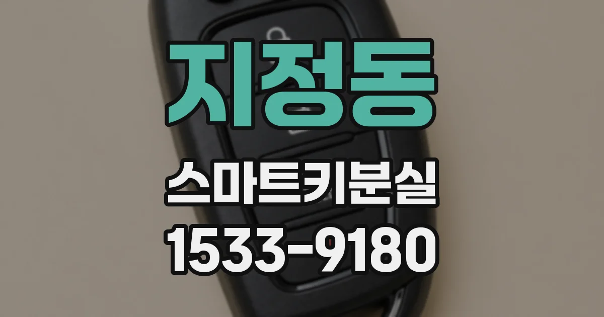 지정동 스마트키분실