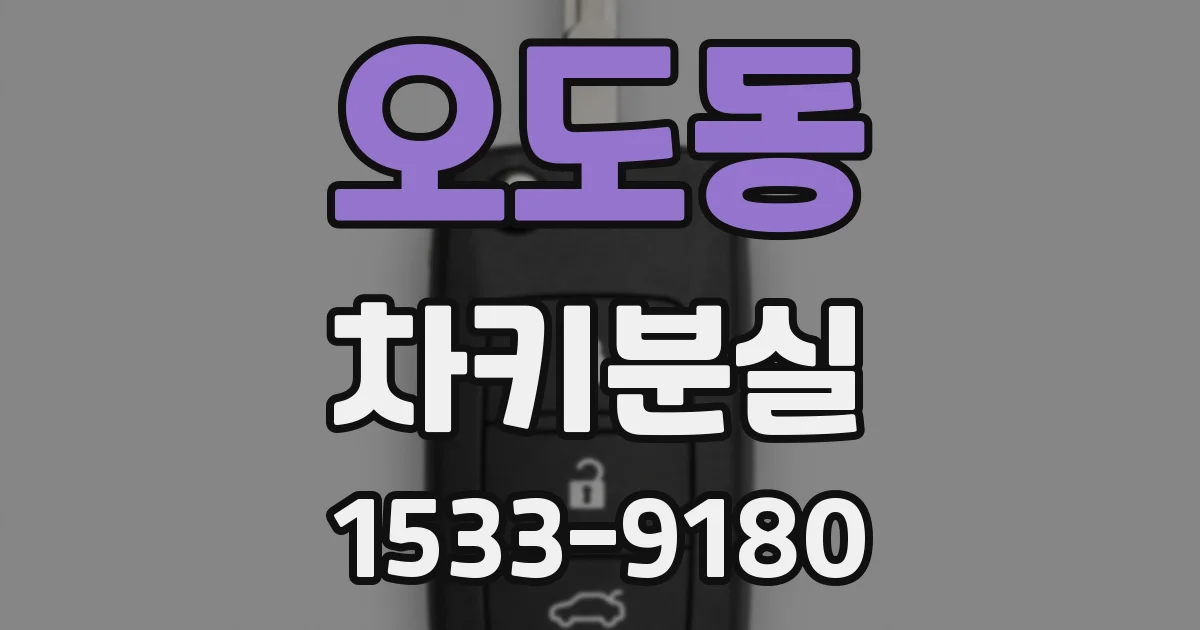오도동 차키분실