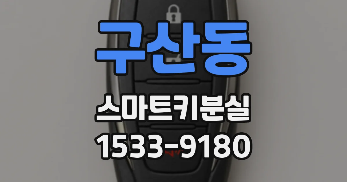 구산동 스마트키분실
