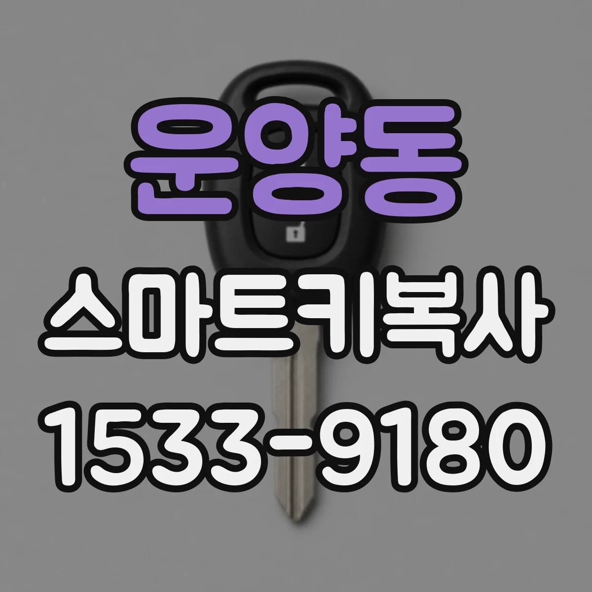 운양동 스마트키복사