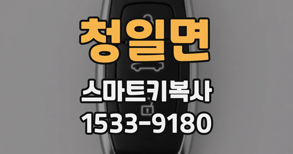 청일면 스마트키복사