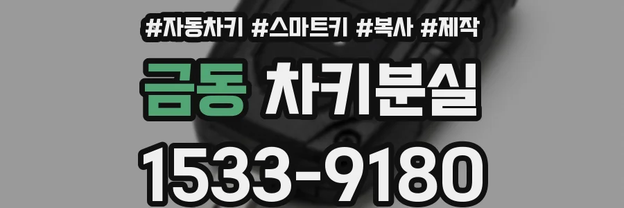 금동 차키분실