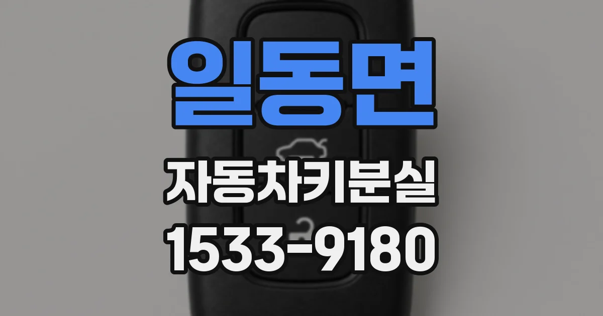 일동면 자동차키분실