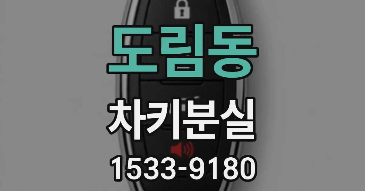 도림동 차키분실