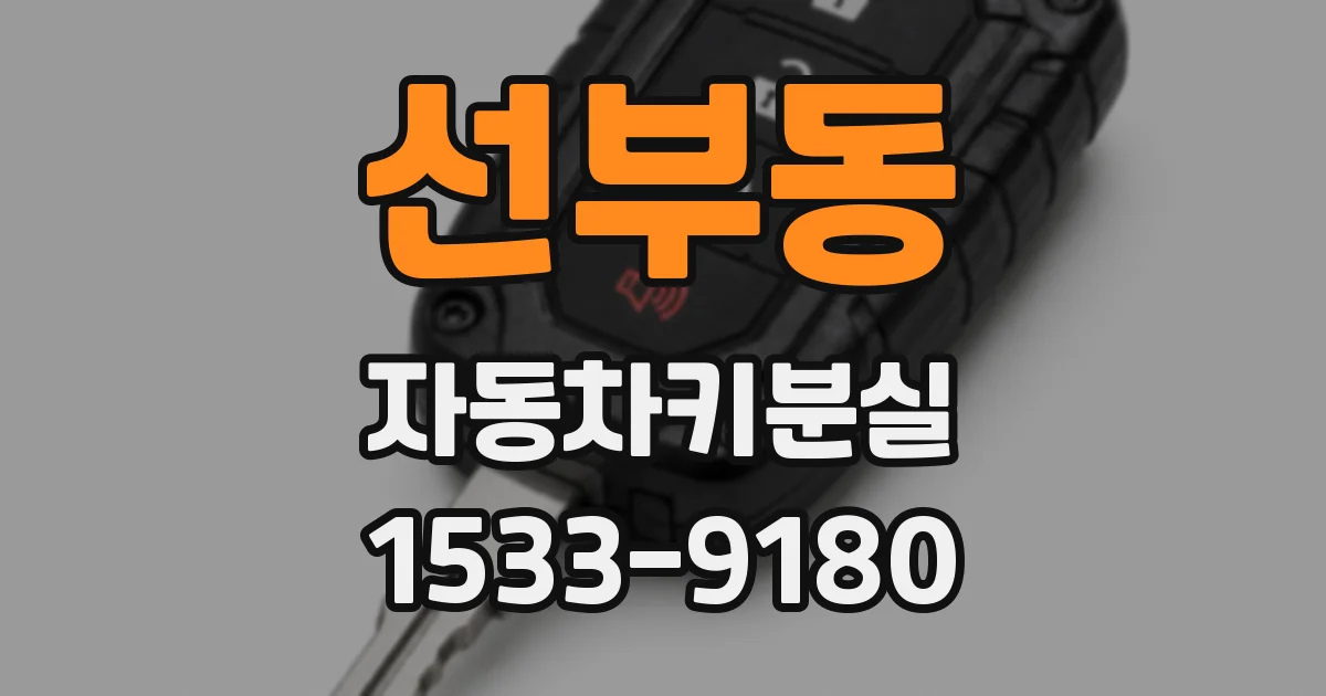 선부동 자동차키분실