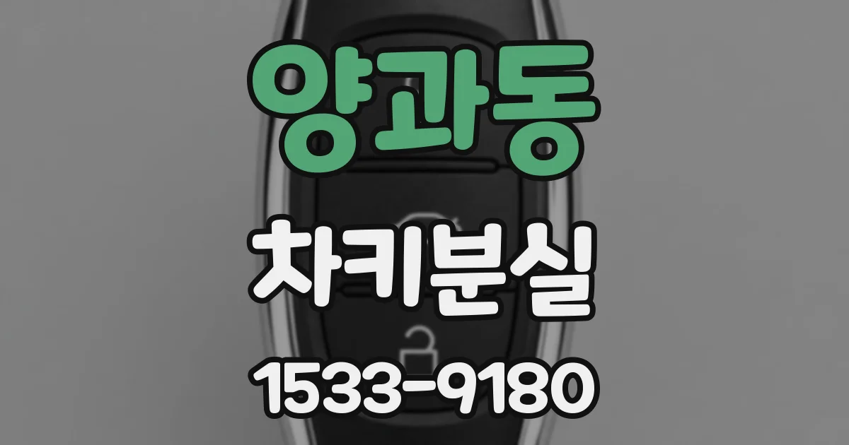 양과동 차키분실