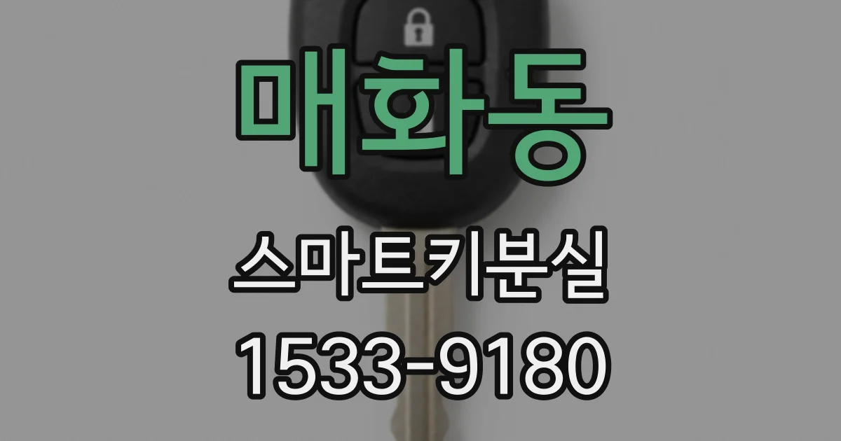 매화동 스마트키분실