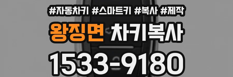 왕징면 차키복사