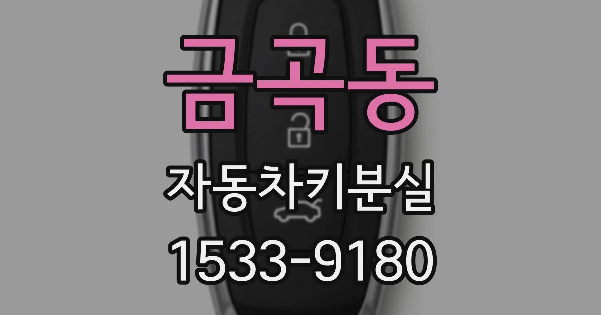금곡동 자동차키분실