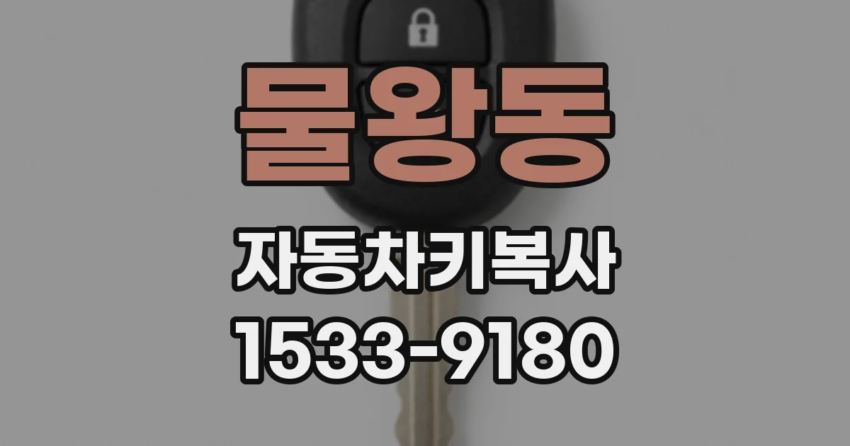 물왕동 자동차키복사