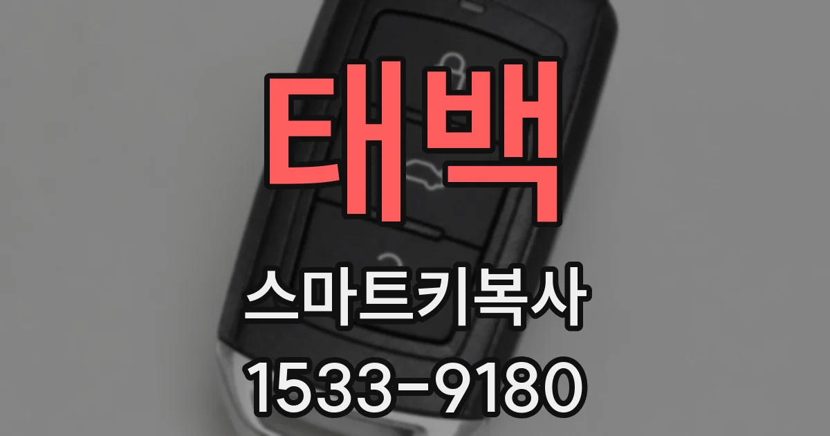 태백 스마트키복사