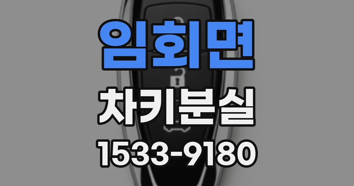 임회면 차키분실