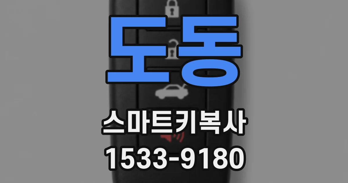 도동 스마트키복사
