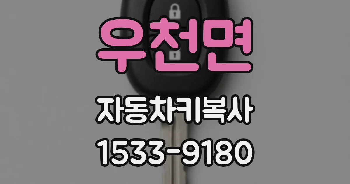 우천면 자동차키복사