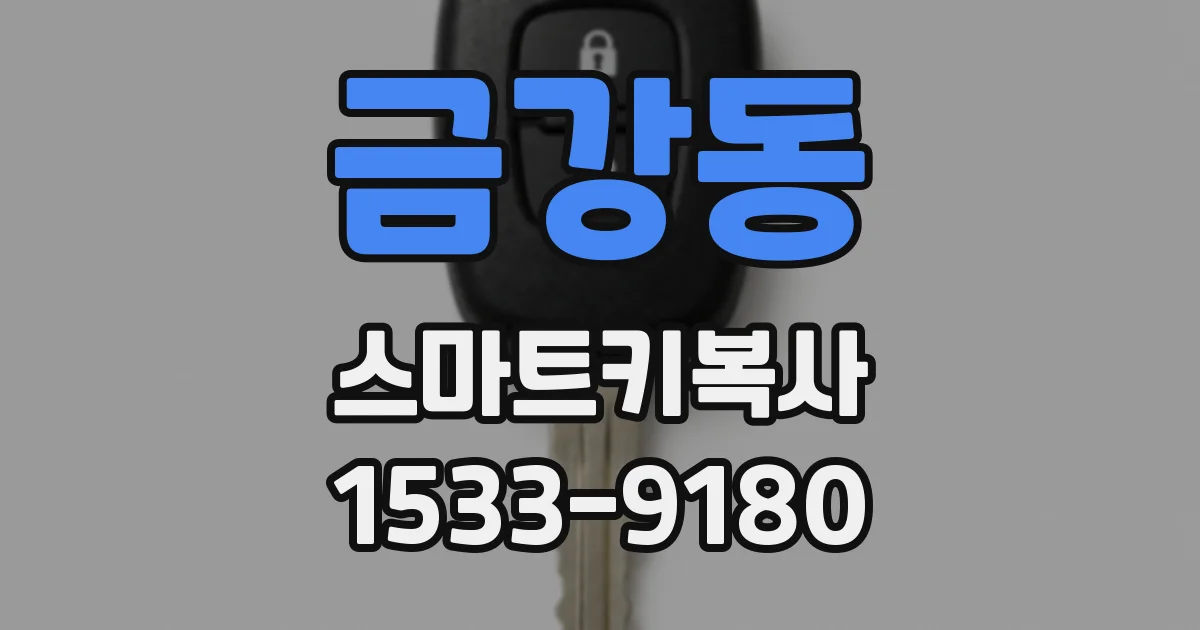 금강동 스마트키복사