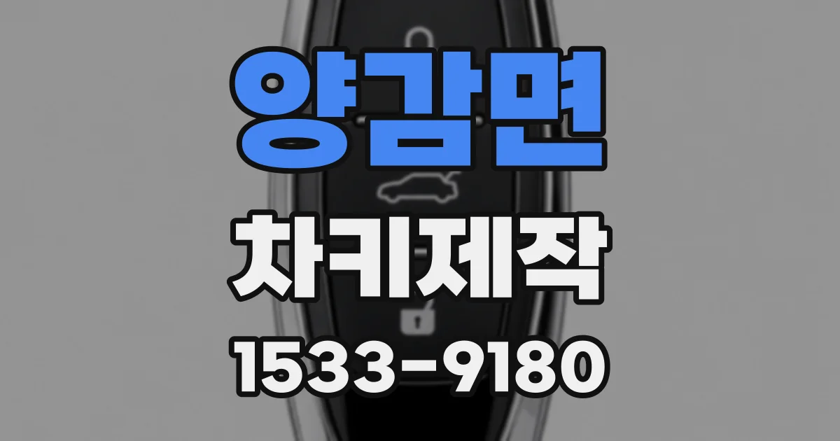 양감면 차키제작