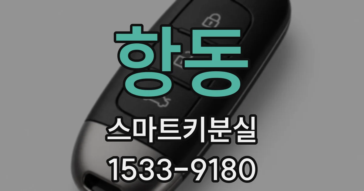 항동 스마트키분실
