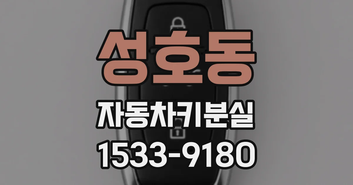 성호동 자동차키분실