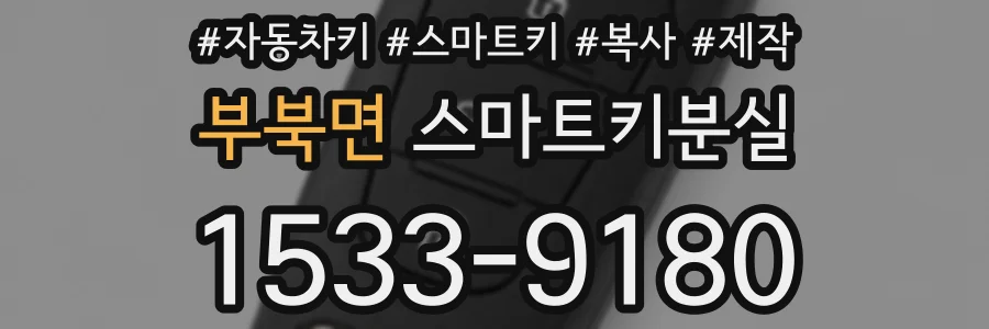 부북면 스마트키분실