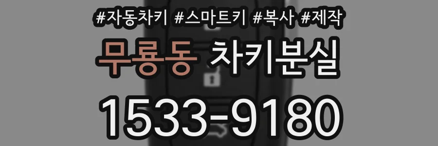 무룡동 차키분실