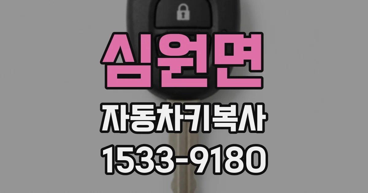 심원면 자동차키복사