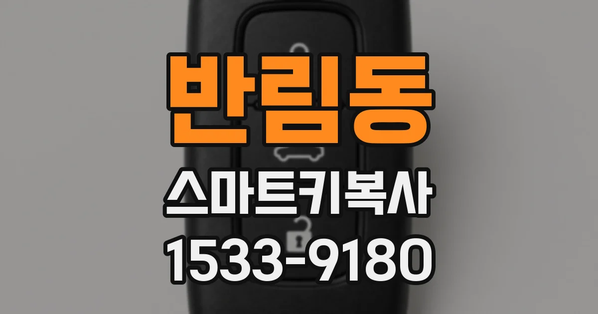 반림동 스마트키복사