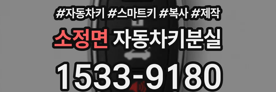 소정면 자동차키분실