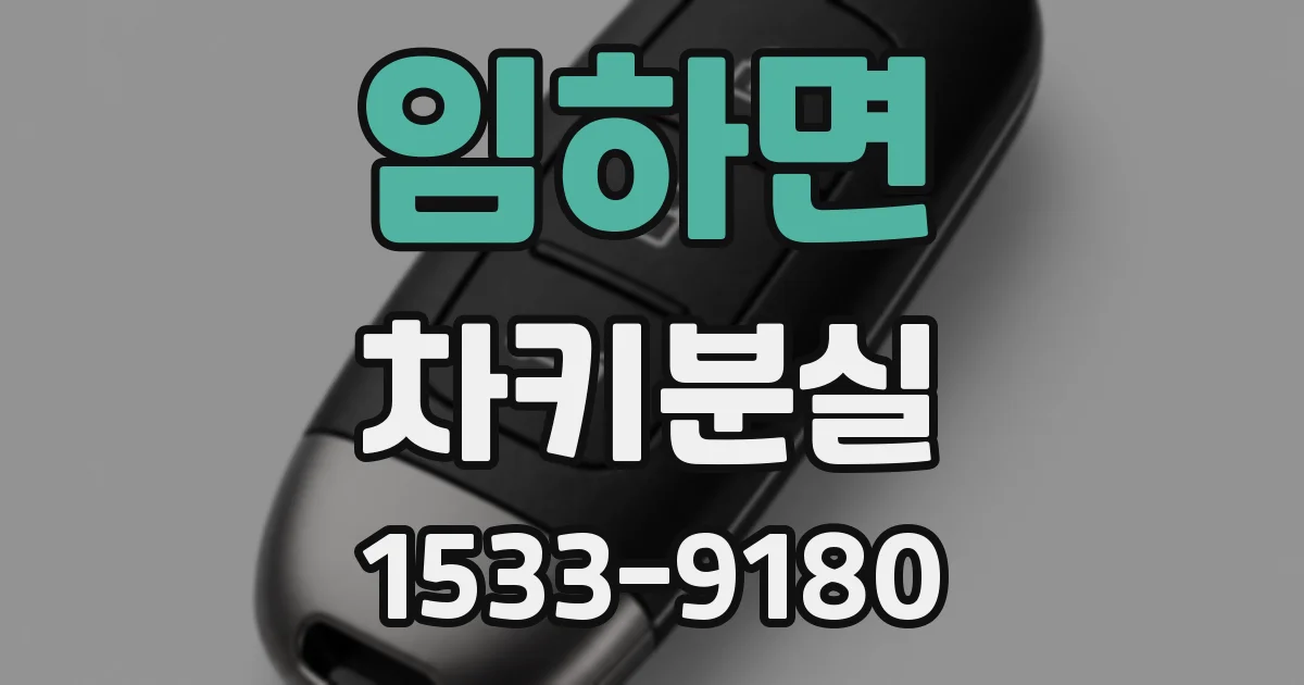 임하면 차키분실