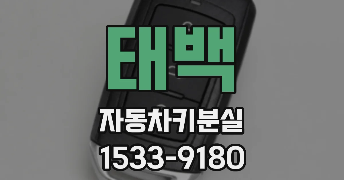 태백 자동차키분실