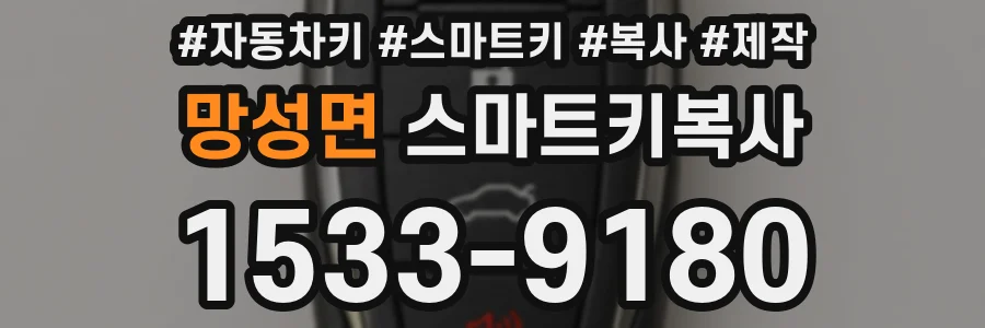 망성면 스마트키복사