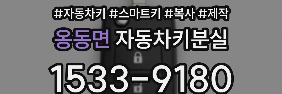 옹동면 자동차키분실