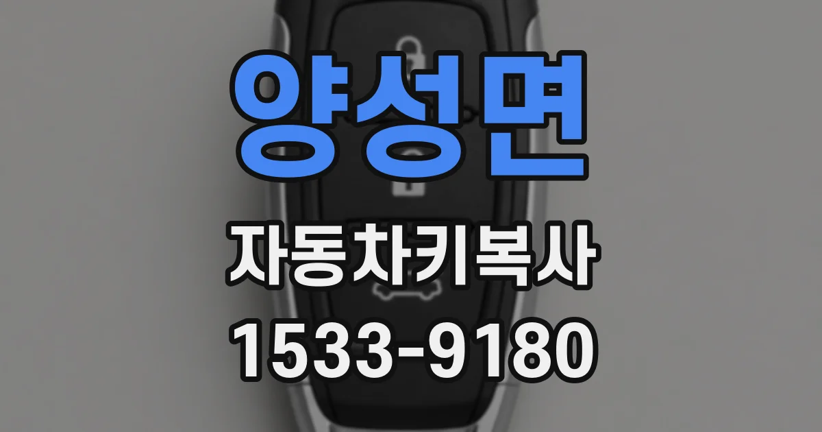 양성면 자동차키복사