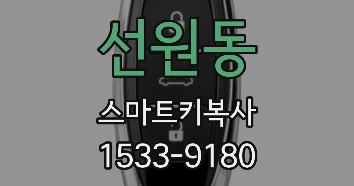 선원동 스마트키복사