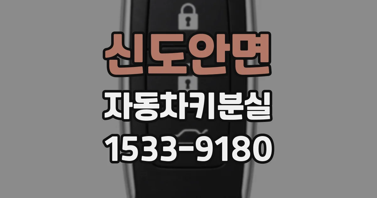 신도안면 자동차키분실