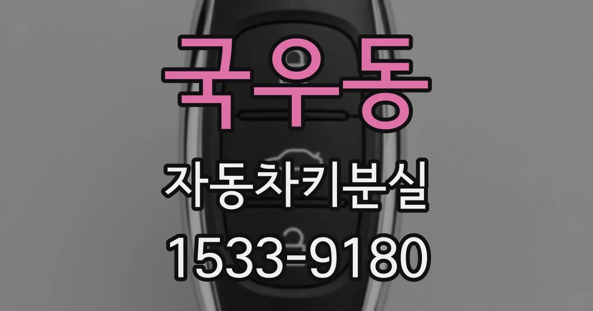 국우동 자동차키분실
