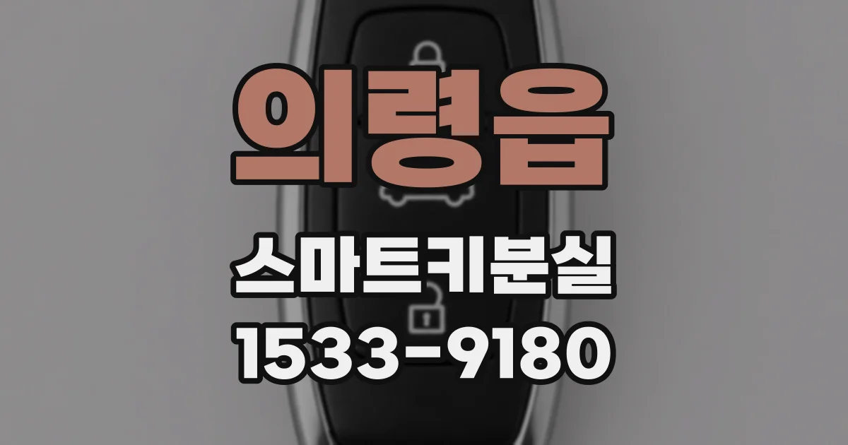 의령읍 스마트키분실