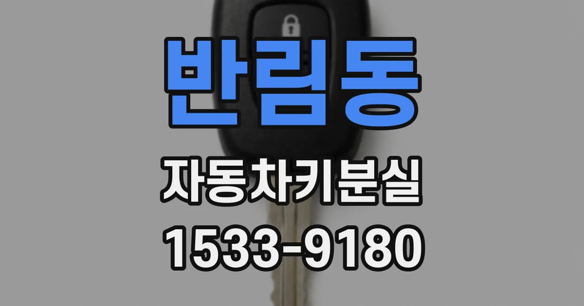 반림동 자동차키분실