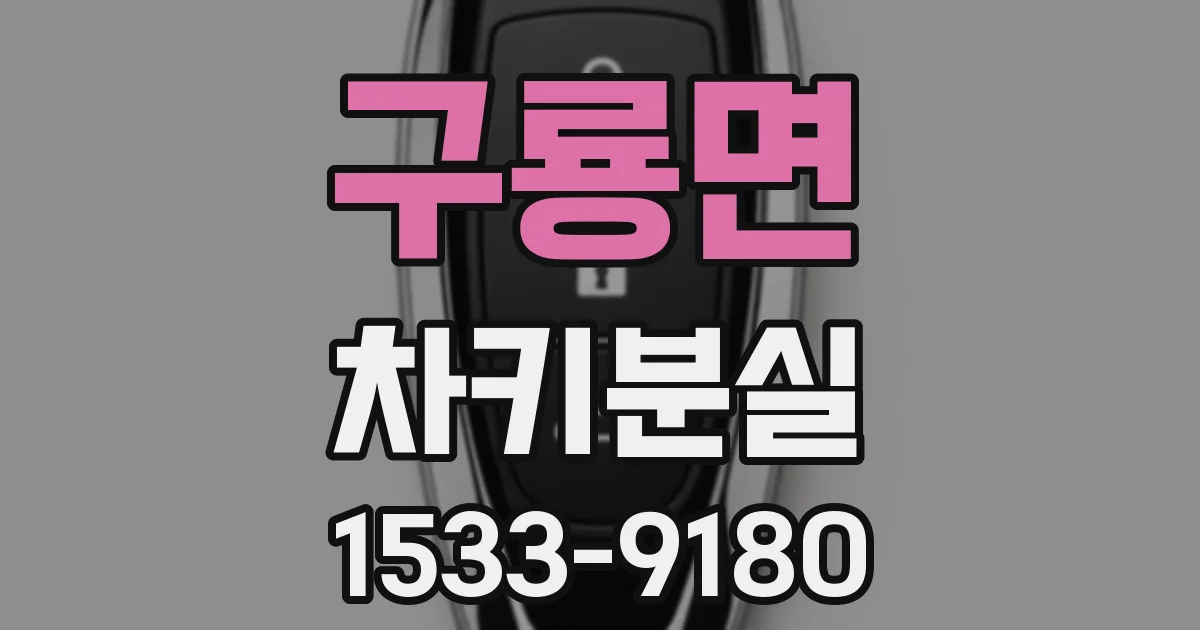 구룡면 차키분실