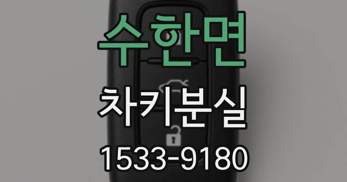 수한면 차키분실