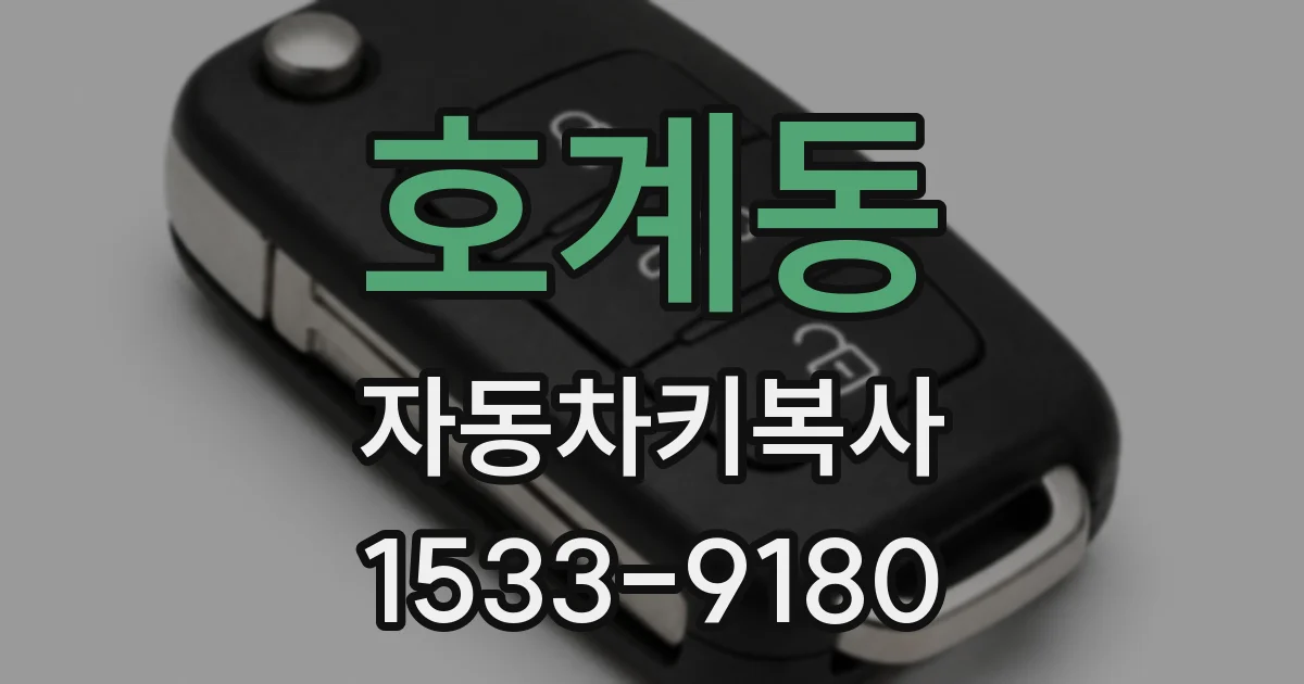 호계동 자동차키복사