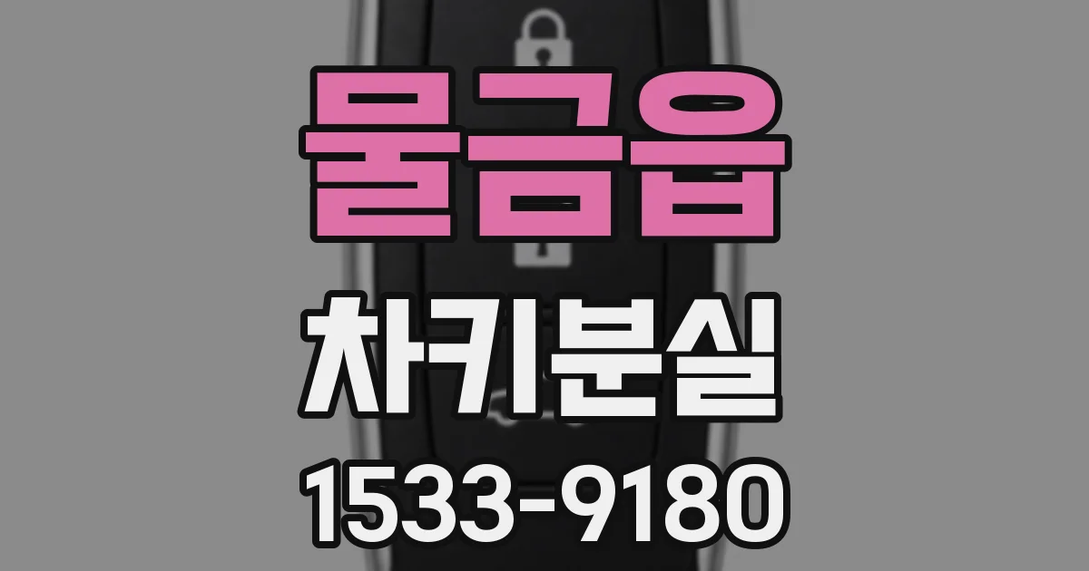물금읍 차키분실