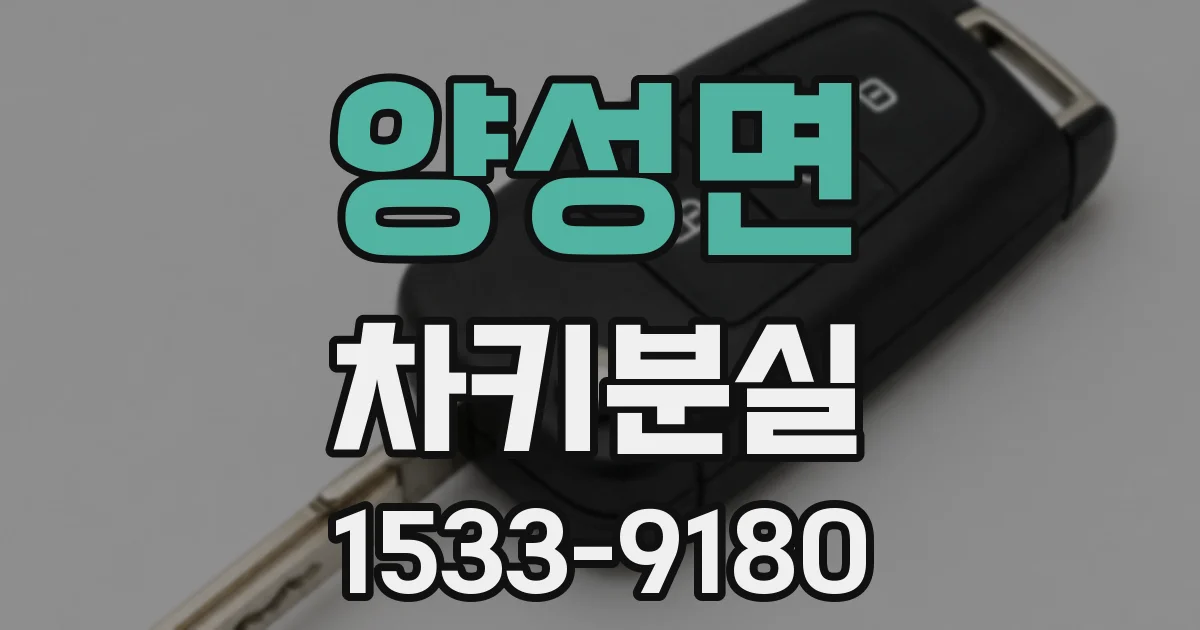 양성면 차키분실