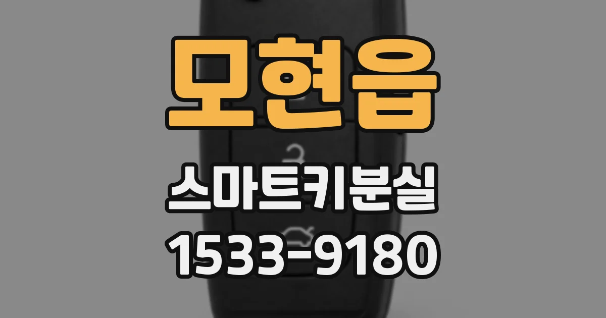 모현읍 스마트키분실
