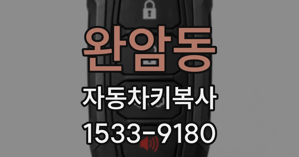 완암동 자동차키복사