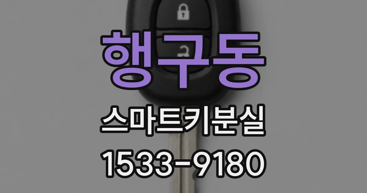 행구동 스마트키분실
