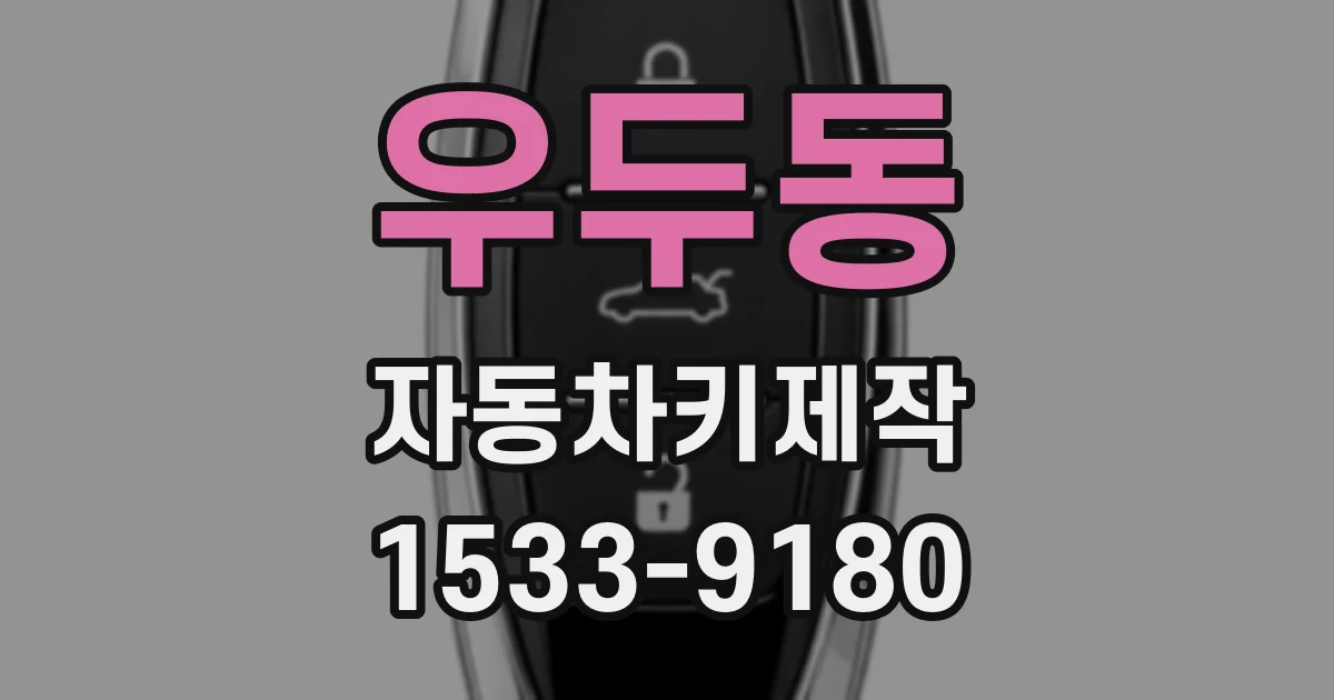 우두동 자동차키제작