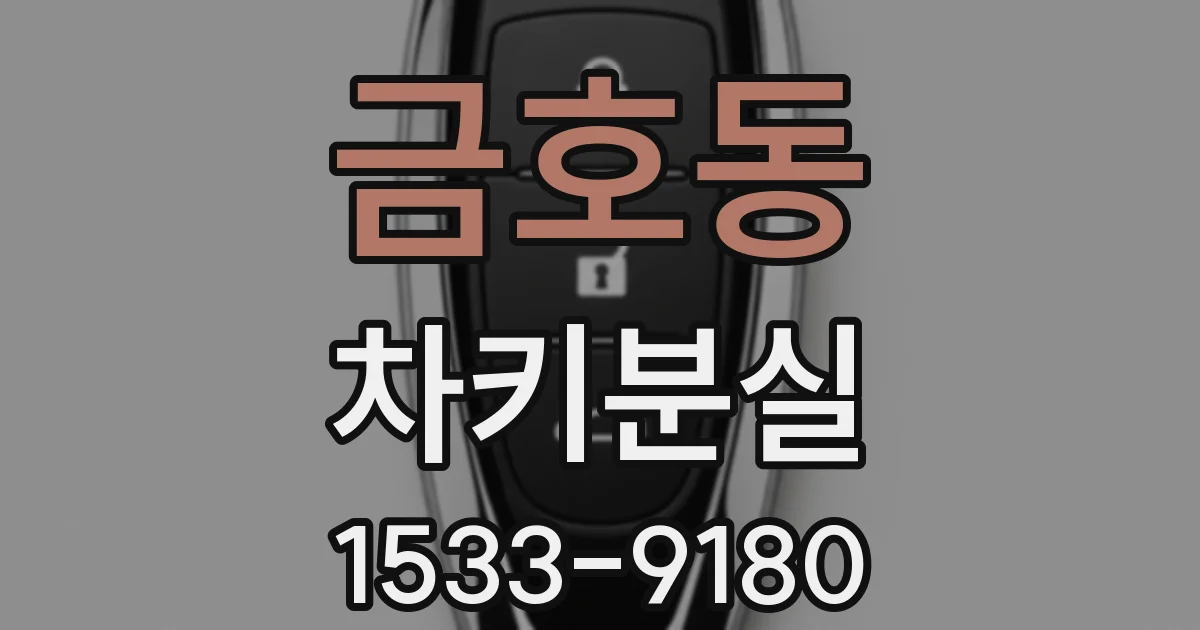 금호동 차키분실